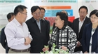 市委副書記、代市長艾麗華來我公司考察、調(diào)研